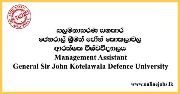 Management Assistant